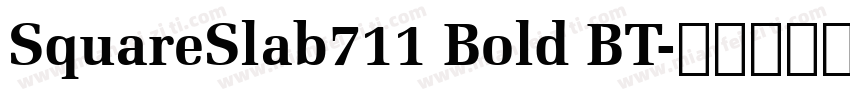 SquareSlab711 Bold BT字体转换